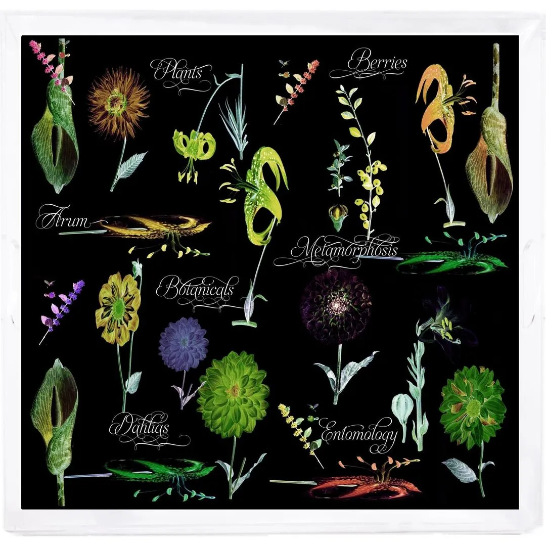 Botanicals Xray Greens Beveled/Polished Acrylic 18X18 Large Size Square Printed Tray